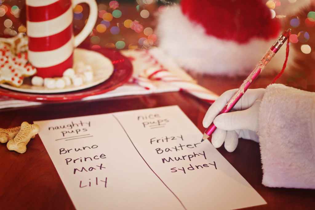Ivy’s Christmas wish list